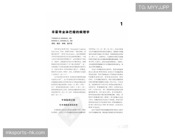 巴尔科拉与穆西亚拉的技术特点差异及其在战术体系中的适配性对比